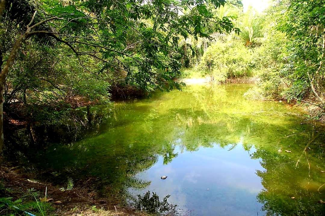 Tuaprodhome Khao Lak Ruang foto